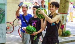 路人甲吃瓜指南免费,轻松掌握娱乐圈热点，畅享娱乐盛宴